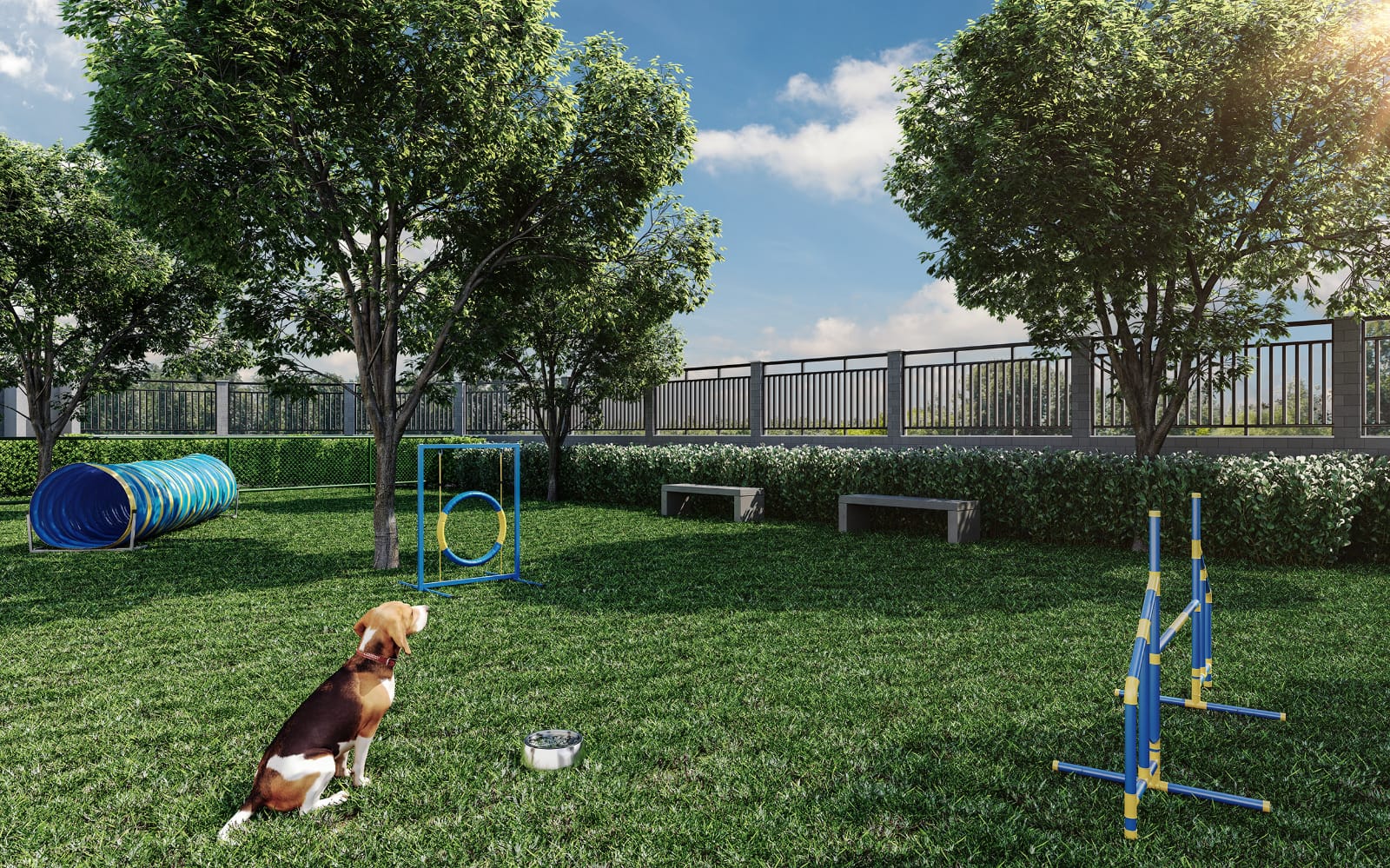 Perspectiva do pet place